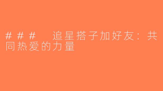 ### 追星搭子加好友：共同热爱的力量