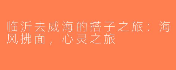 临沂去威海的搭子之旅：海风拂面，心灵之旅