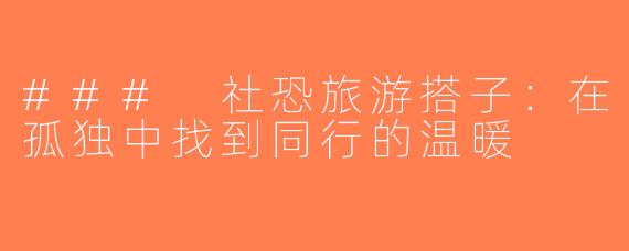 ### 社恐旅游搭子：在孤独中找到同行的温暖