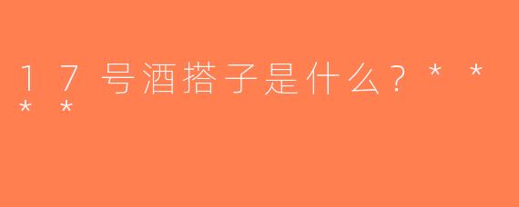 17号酒搭子是什么？****