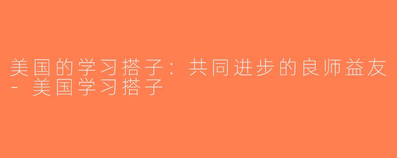 美国的学习搭子：共同进步的良师益友-美国学习搭子