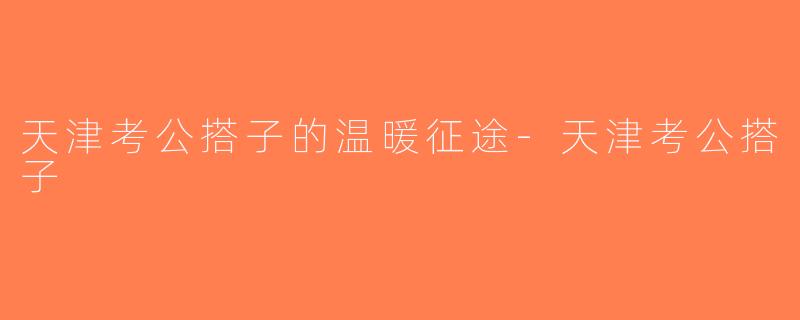 天津考公搭子的温暖征途-天津考公搭子