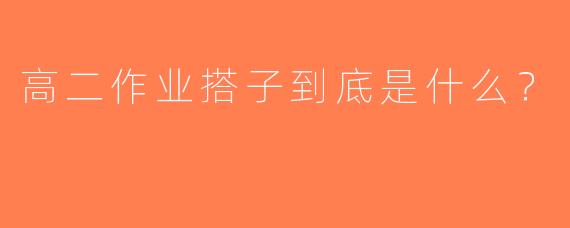 高二作业搭子到底是什么？  