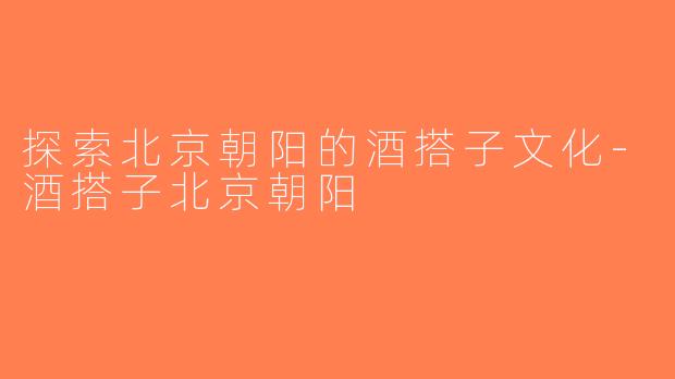 探索北京朝阳的酒搭子文化-酒搭子北京朝阳