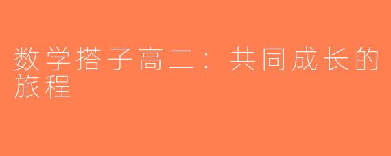 数学搭子高二：共同成长的旅程