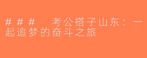 ### 考公搭子山东：一起追梦的奋斗之旅