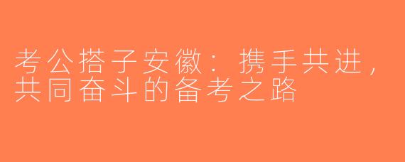 考公搭子安徽：携手共进，共同奋斗的备考之路