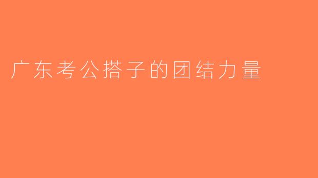 广东考公搭子的团结力量