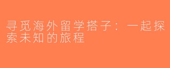 寻觅海外留学搭子：一起探索未知的旅程