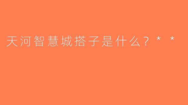 天河智慧城搭子是什么？**