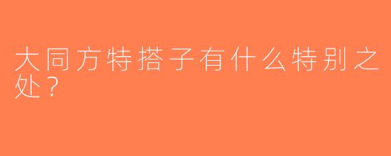 大同方特搭子有什么特别之处？