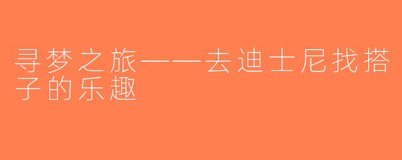寻梦之旅——去迪士尼找搭子的乐趣