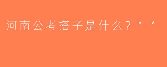 河南公考搭子是什么？**