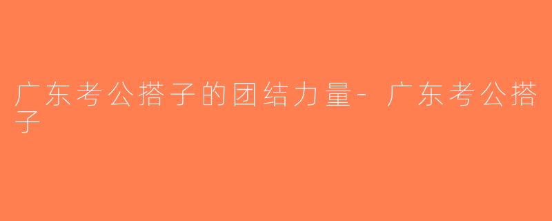 广东考公搭子的团结力量-广东考公搭子