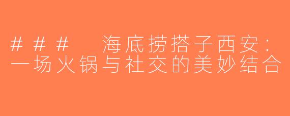 ### 海底捞搭子西安：一场火锅与社交的美妙结合