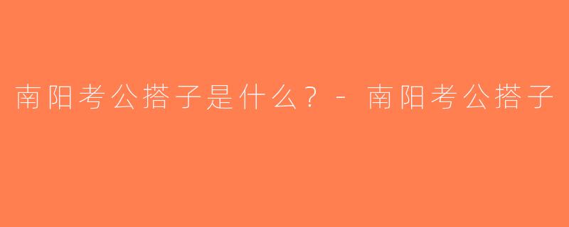 南阳考公搭子是什么？-南阳考公搭子