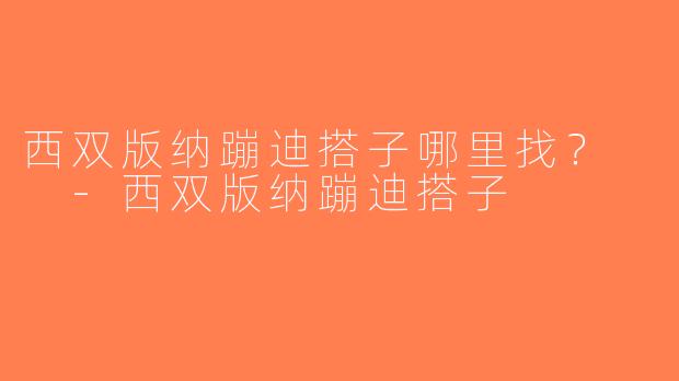 西双版纳蹦迪搭子哪里找？  -西双版纳蹦迪搭子