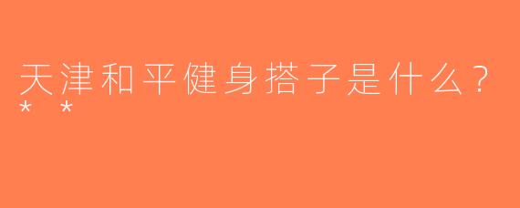 天津和平健身搭子是什么？**