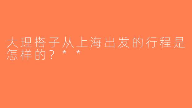 大理搭子从上海出发的行程是怎样的？**