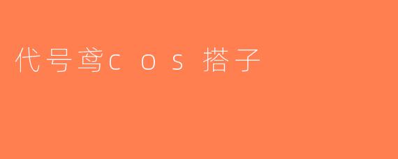 代号鸢cos搭子