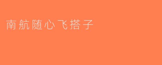 南航随心飞搭子