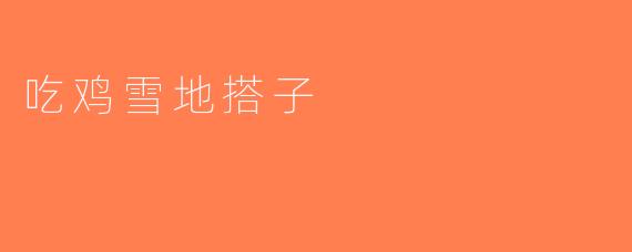 吃鸡雪地搭子