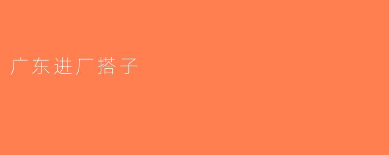 广东进厂搭子