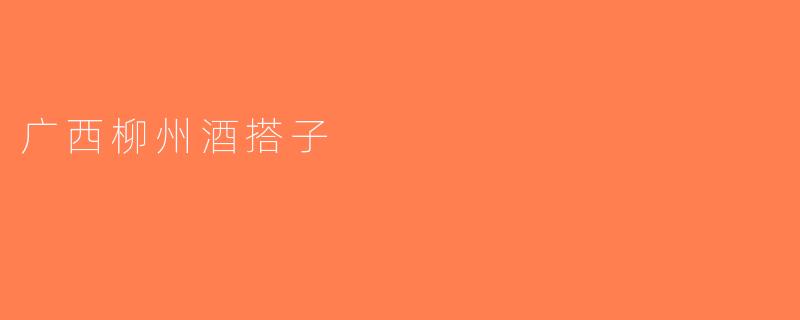 广西柳州酒搭子