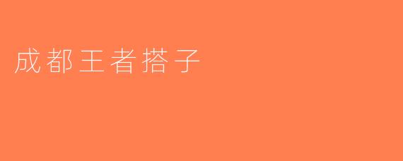 成都王者搭子