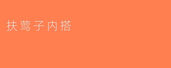 扶莺子内搭