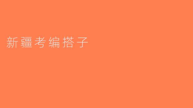 新疆考编搭子