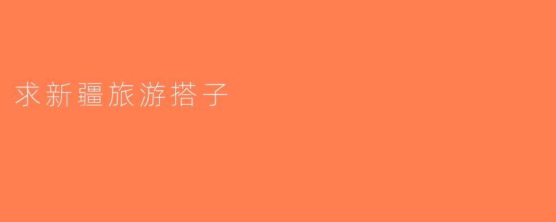 求新疆旅游搭子