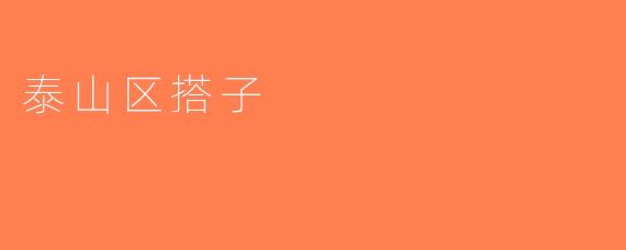 泰山区搭子