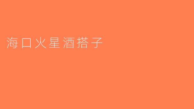 海口火星酒搭子