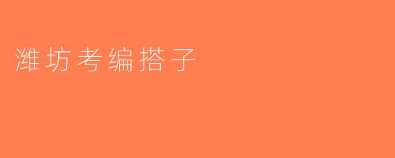 潍坊考编搭子