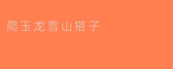 爬玉龙雪山搭子