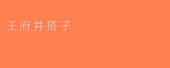 王府井搭子