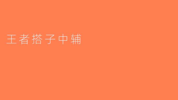 王者搭子中辅