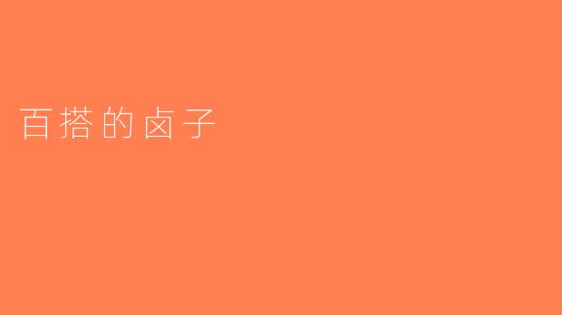 百搭的卤子