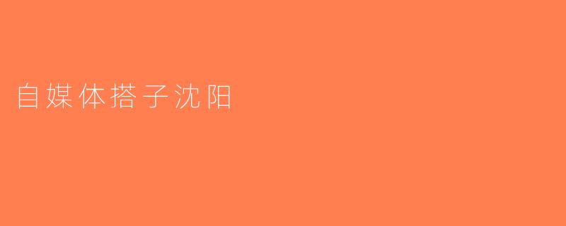 自媒体搭子沈阳