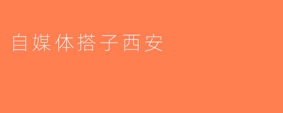 自媒体搭子西安