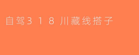 自驾318川藏线搭子