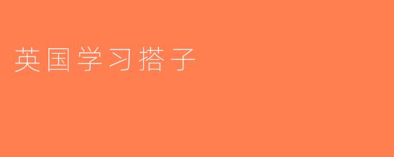 英国学习搭子