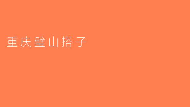 重庆璧山搭子