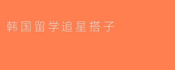 韩国留学追星搭子