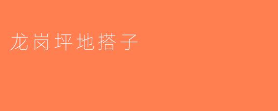 龙岗坪地搭子