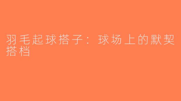 羽毛起球搭子：球场上的默契搭档