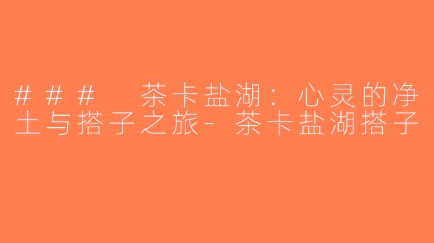 ### 茶卡盐湖：心灵的净土与搭子之旅-茶卡盐湖搭子