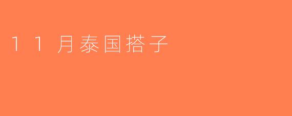 11月泰国搭子