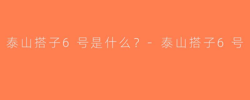 泰山搭子6号是什么？-泰山搭子6号
